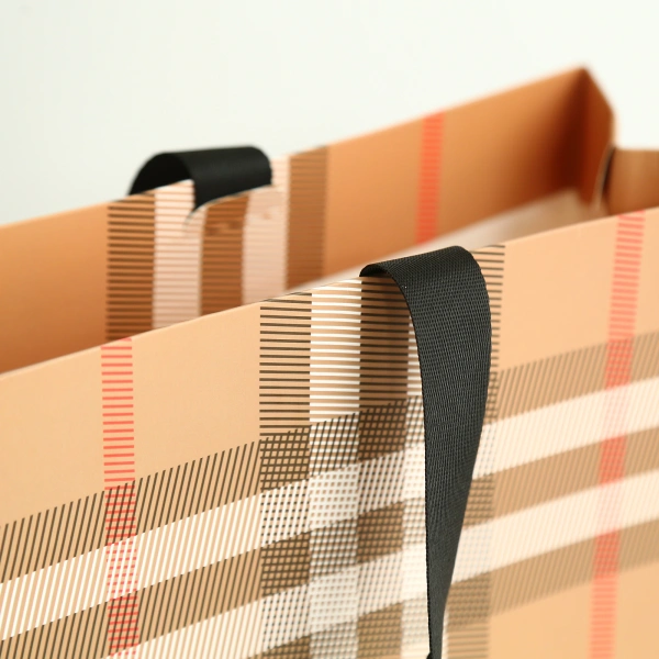 Burberry Stripe Pattern Paper Bag for Retail Packaging and Brand Presentation - Image 3