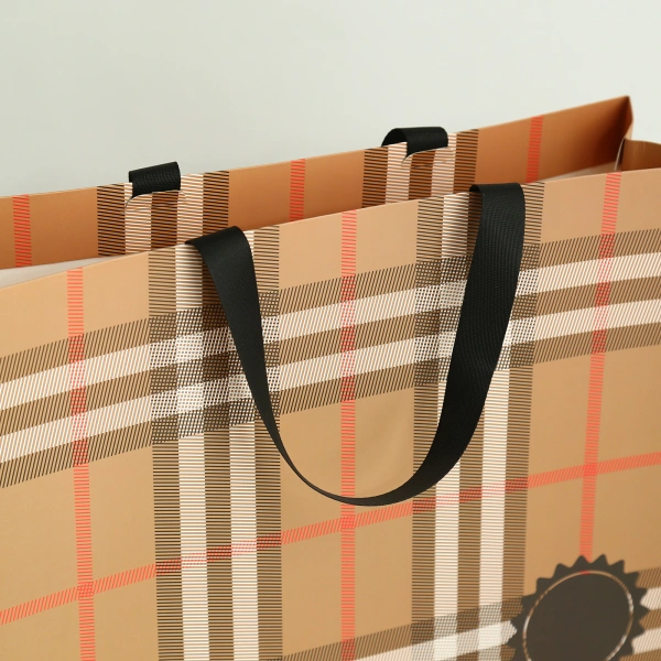 Burberry Stripe Pattern Paper Bag for Retail Packaging and Brand Presentation - Image 4