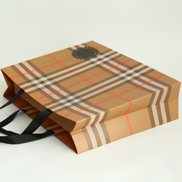 Burberry Stripe Pattern Paper Bag for Retail Packaging and Brand Presentation - Image 2